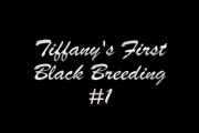 Tiffany se fait baiser par une grosse bite black